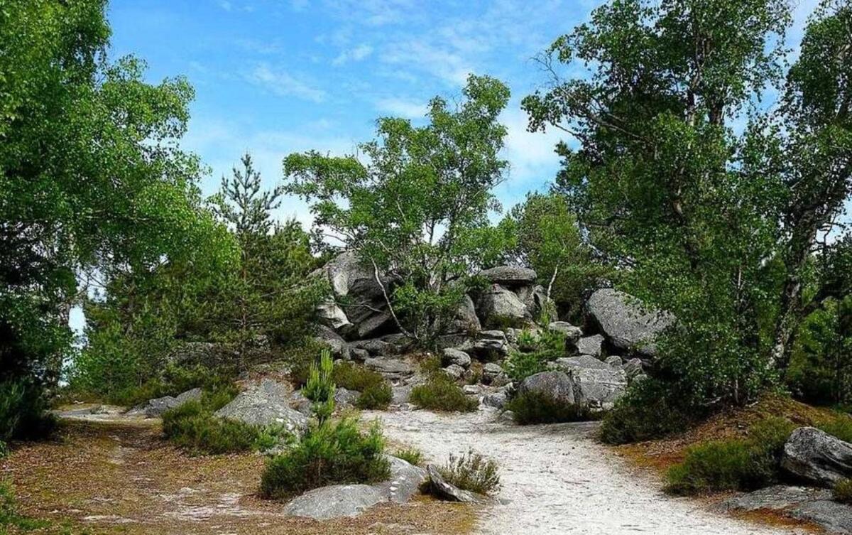 Cocon Napoleon Calme * Fontainebleau